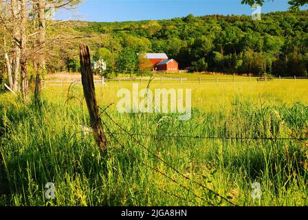 Stacheldraht, verbunden mit einem verrotteten Holzpfosten, umgibt eine Wiese und ein Feld auf einem kleinen Bauernhof mit einer roten Scheune im Hudson Valley von New York