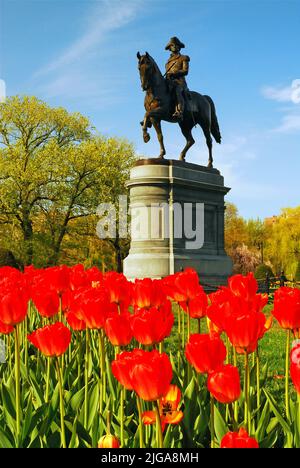 Eine Skulptur von General George Washington, der auf einem Pferd reitet, wird an einem Frühlingstag im Boston Publik Garden bei Boston Common von Tulpen umgeben Stockfoto