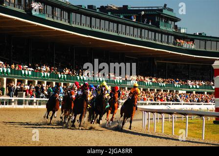 Lexington, Keeneland Race Track Stockfoto