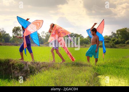 Kinder fliegen Drachen auf Reisfeldern im ländlichen Vietnam Stockfoto