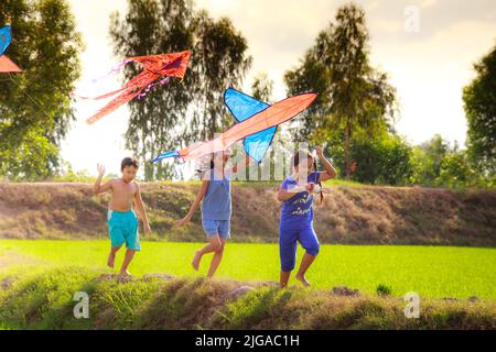 Kinder fliegen Drachen auf Reisfeldern im ländlichen Vietnam Stockfoto