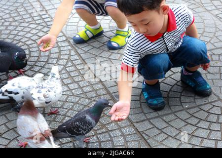 Füttern von Tauben auf den Händen eines Jungen auf der Straße Stockfoto