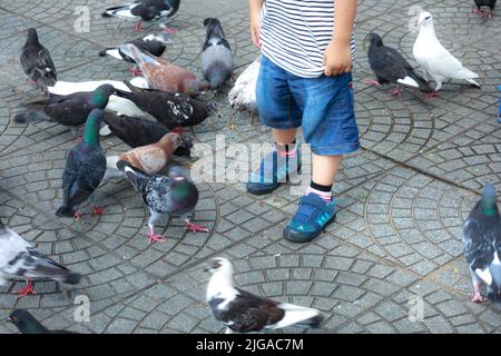 Füttern von Tauben auf den Händen eines Jungen auf der Straße Stockfoto