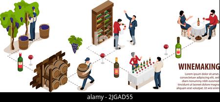 Wein isometrische Infografik Set mit Wein Herstellung und Verkostung Symbole Vektor Illustration Stock Vektor