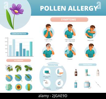 Pollenallergie Symptome Prävention Behandlung Konzentration und Allergene Infografiken in Cartoon-Stil Vektor-Illustration Stock Vektor
