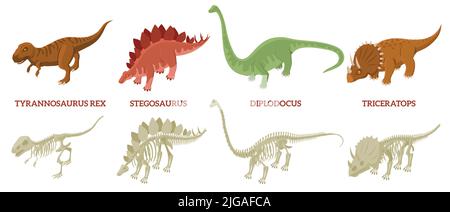 Isometrisches Dinosaurier-Skelett mit isolierten Symbolen von farbigen Reptilien, Textunterschriften und realistischer Darstellung von Knochenstrukturen Stock Vektor