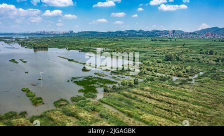 Weining, Chinas Provinz Guizhou. 8.. Juli 2022. Luftbild zeigt das Caohai National Nature Reserve in Weining Yi, Autonome Grafschaft Hui und Miao, südwestlich der chinesischen Provinz Guizhou, 8. Juli 2022. Quelle: Tao Liang/Xinhua/Alamy Live News Stockfoto