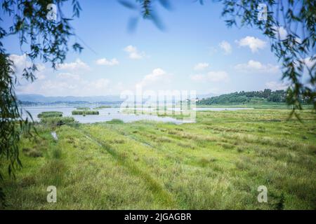 Weining, Chinas Provinz Guizhou. 8.. Juli 2022. Das Caohai National Nature Reserve ist im Autonomen Kreis Weining Yi, Hui und Miao, südwestlich der Provinz Guizhou, zu sehen, 8. Juli 2022. Quelle: Tao Liang/Xinhua/Alamy Live News Stockfoto