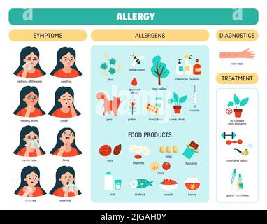 Allergiefarbene Infografik mit Tabellenaufteilung in Symptome Allergendiagnostik Behandlung und andere Beschreibungen Vektordarstellung Stock Vektor