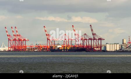 Liverpool2 ist eine Erweiterung des Containerterminals an den Fluss Mersey in Seaforth, eine Erweiterung des Containerterminals Seaforth Dock. Stockfoto