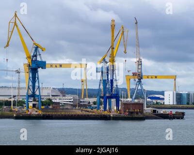 Samson und Goliath in Harlem und Wolf an den Belfast Docks Stockfoto