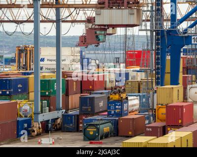 Belfast Docks, das Verladen und Sortieren von Metallbehältern für den Export oder Import von Waren. Stockfoto