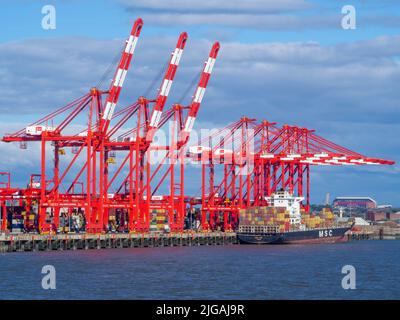 Liverpool2 ist eine Erweiterung des Containerterminals an den Fluss Mersey in Seaforth, eine Erweiterung des Containerterminals Seaforth Dock. Stockfoto