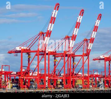 Liverpool2 ist eine Erweiterung des Containerterminals an den Fluss Mersey in Seaforth, eine Erweiterung des Containerterminals Seaforth Dock. Stockfoto