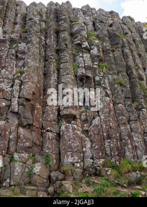 Basaltsäulen am Giganten-Damm, der über dem Pfad thront Stockfoto