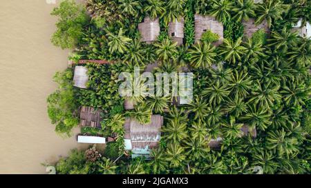 Große Luftaufnahme der tropischen Gastfamilie entlang der Mekong-Flussküste von Ben Tre Vietnam Stockfoto