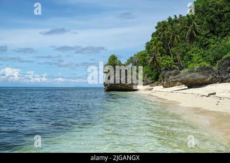 Blick auf den Monkey Beach auf der Insel Siquijor, gelegen in der Region Central Visayas auf den Philippinen. Stockfoto