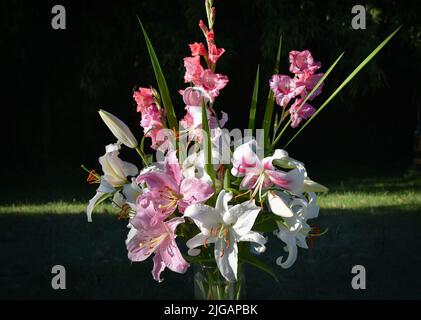 Bouquet de lys blancs et roses, Cascardo, Joséphine, Anastasia et glaïeuls (jardin du ruisseau de l'église 2022) Stockfoto