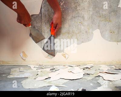 Alte Farbe von Hand mit einem Metallspachtel von der alten Wand entfernen. Malvorbereitung zu Hause Stockfoto