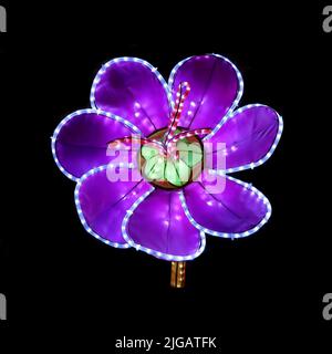 PAKRUOJIS / LITAUEN - 29. Dezember 2019: Bunte violette Blume beim chinesischen Lichtfest die Großen Laternen Chinas Stockfoto