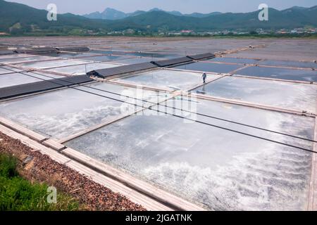 Gomso Salzfeld, 21. Juni 2022 : Gomso Salzfeld in Buan, ca. 240 km (149 Meilen) südlich von Seoul, Südkorea. Das Salzfeld von Gomso ist eine der Salinen, die Solarsalz oder Cheonilyeom produzieren, und sein Salz ist dafür bekannt, dass es 10-mal mehr Mineralien enthält als das Salz aus anderen Regionen. Das moderne Salzfeld Gomso wurde am Ende der japanischen Kolonialherrschaft von Korea (1910-1945) errichtet. Kredit: Lee Jae-won/AFLO/Alamy Live Nachrichten Stockfoto