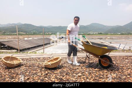 Gomso Salzfeld, 21. Juni 2022: Ein Arbeiter im Gomso Salzfeld demonstriert, wie man Salz im Gomso Salzfeld in Buan, etwa 240 km (149 Meilen) südlich von Seoul, Südkorea, transportieren kann. Das Salzfeld von Gomso ist eine der Salinen, die Solarsalz oder Cheonilyeom produzieren, und sein Salz ist dafür bekannt, dass es 10-mal mehr Mineralien enthält als das Salz aus anderen Regionen. Das moderne Salzfeld Gomso wurde am Ende der japanischen Kolonialherrschaft von Korea (1910-1945) errichtet. Kredit: Lee Jae-won/AFLO/Alamy Live Nachrichten Stockfoto