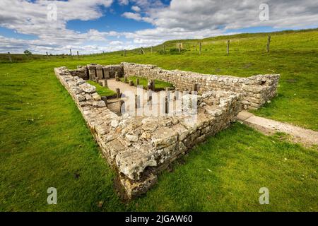 Die Überreste von Brocolitia, Tempel von Mithras neben dem römischen Fort Carrawburgh an der Hadrianmauer, Northumberland, England Stockfoto