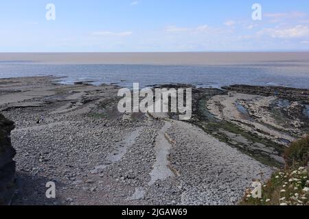 Ein paar Leute wandern am Kilve Beach in der Nähe von East Quantoxhead in Somerset, England, auf der Suche nach Fossilien. Gesteinsschichten aus der Jurazeit Stockfoto