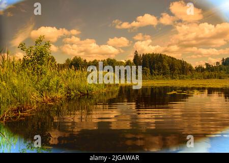 Blick durch Sonnenbrillen auf einen kleinen Teich, grüne Seerosenblätter, Spiegelungen von Wolken auf der Oberfläche des Sees Stockfoto