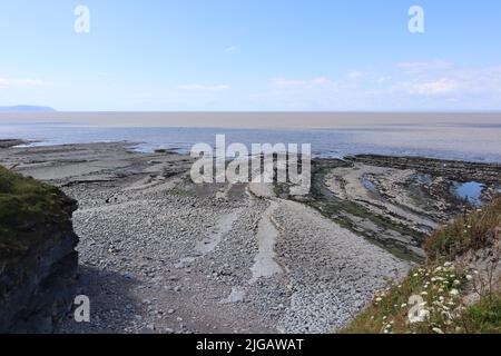 Ein paar Leute wandern am Kilve Beach in der Nähe von East Quantoxhead in Somerset, England, auf der Suche nach Fossilien. Gesteinsschichten aus der Jurazeit Stockfoto