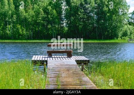 Hölzerne Fußgängerbrücken, sumpfiges Seeufer, Sumpfpflanzenvegetation, Bilska-See, Landkreis Smiltes, Lettland Stockfoto