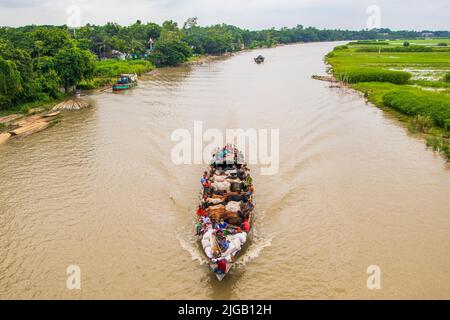 Viele Kühe kommen aus verschiedenen Bezirken von Bangladesch nach Dhaka Stadt mit dem Boot vor Eid-al Adha, Dieses Fest der muslimischen Menschen opfern Kühe und Stockfoto