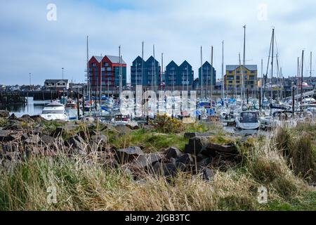 Ein Hafen von Amble Marina mit vielen Booten in Northumberland, Großbritannien Stockfoto