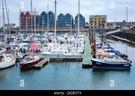 Ein Hafen von Amble Marina mit vielen Booten in Northumberland, Großbritannien Stockfoto