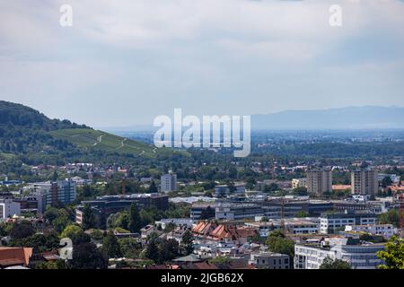 09. Juli 2022, Baden-Württemberg, Freiburg: Reben stehen auf dem Schönberg bei Freiburg, im Hintergrund das Rheintal und die französischen Vogesen. Bei strahlendem Sonnenschein und Temperaturen um die 25 Grad ziehen sich viele Bewohner und Besucher der Stadt nach draußen. Foto: Philipp von Ditfurth/dpa Stockfoto