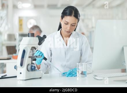 Aufbau einer neuen klinischen Studie. Ein junger Wissenschaftler, der mit Proben in einem Labor arbeitet. Stockfoto