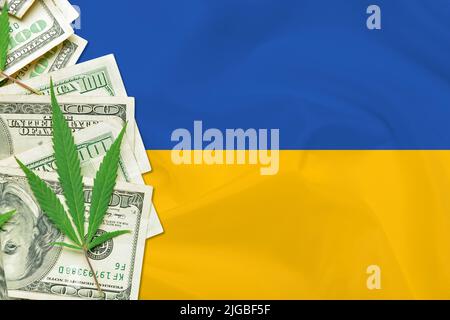 Dollar-Banknoten und Hanfblätter auf ukrainischer Flagge Stockfoto