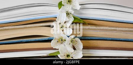 Öffnen Sie Bücher und wunderschöne Frühlingsblumen, Nahaufnahme Stockfoto