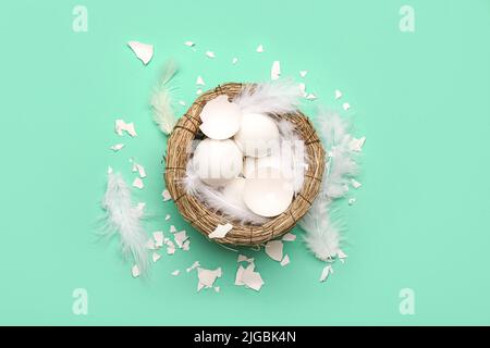 Komposition mit Nest, zerbrochenen Eierschalen und Federn auf farbigem Hintergrund Stockfoto