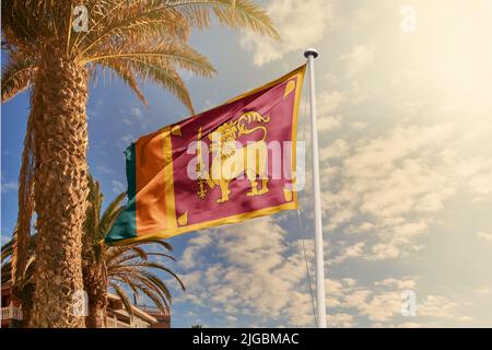 Flagge der Demokratischen Sozialistischen Republik Sri Lanka, Ceylon Stockfoto