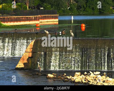 Der Seneca River und der Damm im Dorf Baldwinsville, New York Stockfoto