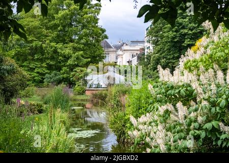 Nantes in Frankreich, Gewächshaus im Jardin des Plantes, einem Garten in der Stadt Stockfoto