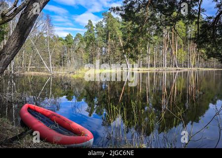 Rotes aufblasbares Kajak in der Nähe des Waldflusses. Frühlingswanderung zum Nationalpark. Stockfoto