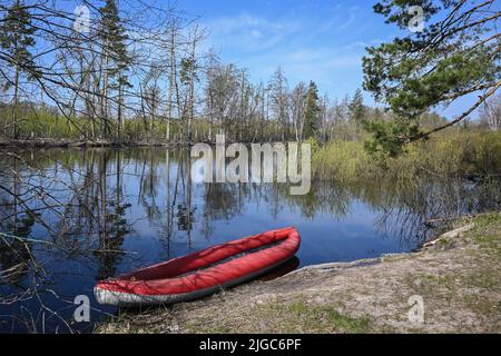 Rotes aufblasbares Kajak in der Nähe des Waldflusses. Frühlingswanderung zum Nationalpark. Stockfoto