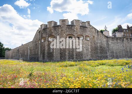 London, Großbritannien. 9.. Juli 2022. Tower of London Superbloom - für das Platinum Jubilee der Königin wurden Wildblumenkerne in den Graben gepflanzt Stockfoto