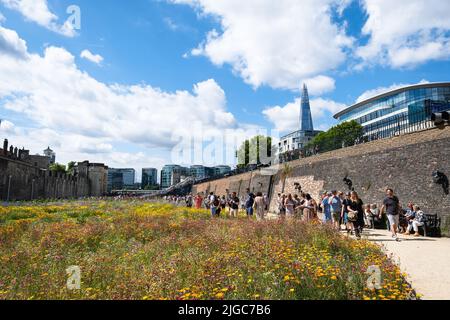 London, Großbritannien. 9.. Juli 2022. Tower of London Superbloom - für das Platinum Jubilee der Königin wurden Wildblumenkerne in den Graben gepflanzt Stockfoto