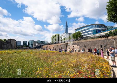 London, Großbritannien. 9.. Juli 2022. Tower of London Superbloom - für das Platinum Jubilee der Königin wurden Wildblumenkerne in den Graben gepflanzt Stockfoto