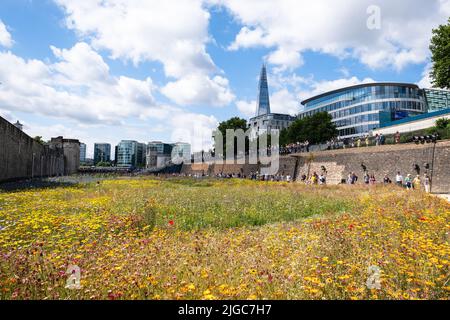 London, Großbritannien. 9.. Juli 2022. Tower of London Superbloom - für das Platinum Jubilee der Königin wurden Wildblumenkerne in den Graben gepflanzt Stockfoto