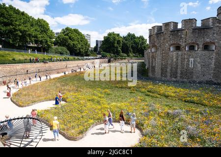 London, Großbritannien. 9.. Juli 2022. Tower of London Superbloom - für das Platinum Jubilee der Königin wurden Wildblumenkerne in den Graben gepflanzt Stockfoto