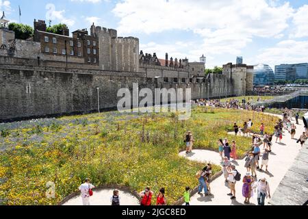 London, Großbritannien. 9.. Juli 2022. Tower of London Superbloom - für das Platinum Jubilee der Königin wurden Wildblumenkerne in den Graben gepflanzt Stockfoto